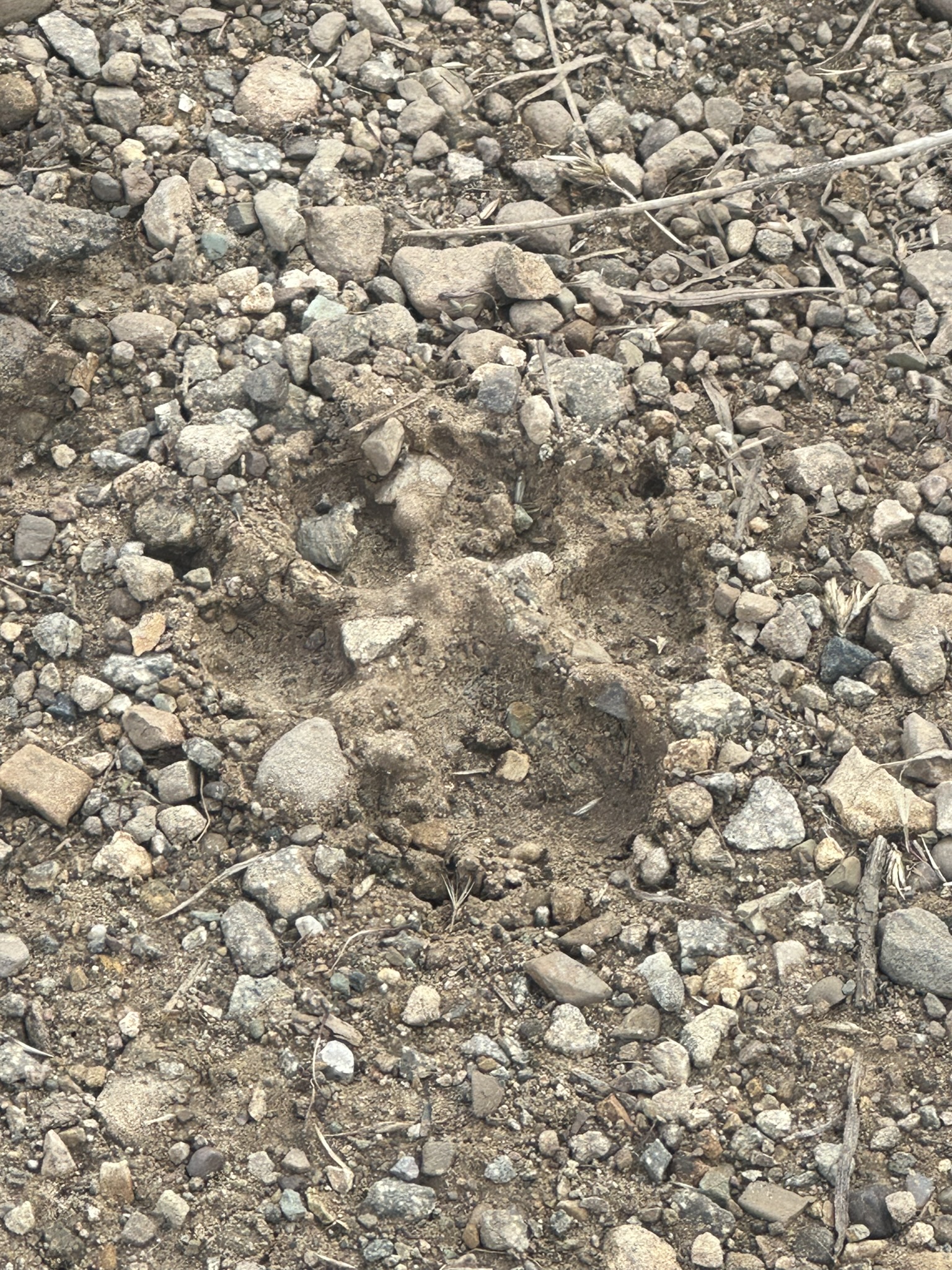 United States-National Parks-Other - Image 3297
